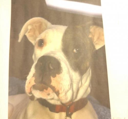 12:09:21 GMT-0700 (MST)