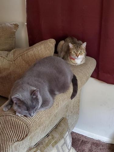 11:18:17 GMT-0500 (EST)