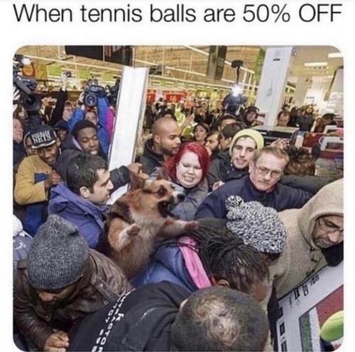 22:01:41 GMT-0600 (CST)