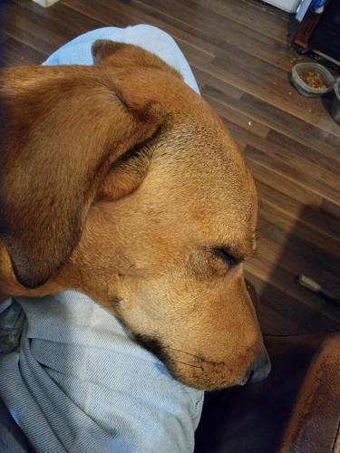 12:13:59 GMT-0600 (CST)