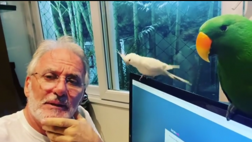 Screenshot_2021-02-15-12-08-19-1