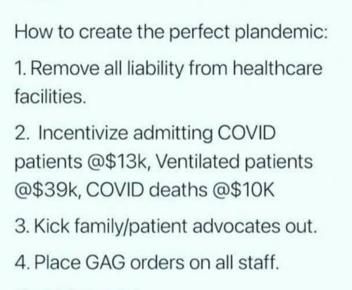 plandemic02