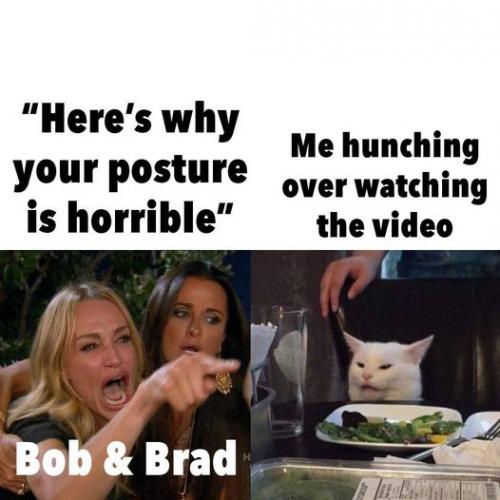 bobandbradmeme