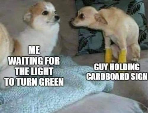 149288052_865083947658862_347198538042076005_n