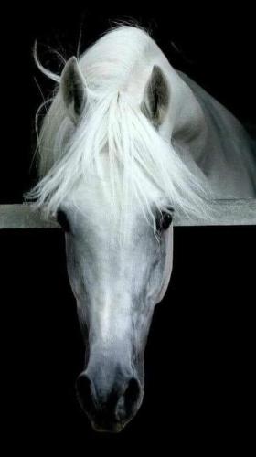 06:57:57 GMT-0600 (CST)