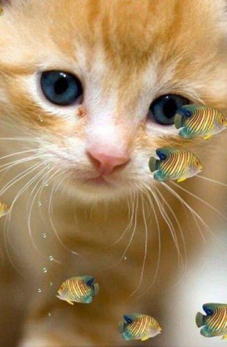 13:44:10 GMT-0600 (CST)