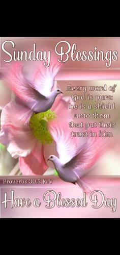 Screenshot_20210131-171651_Photos