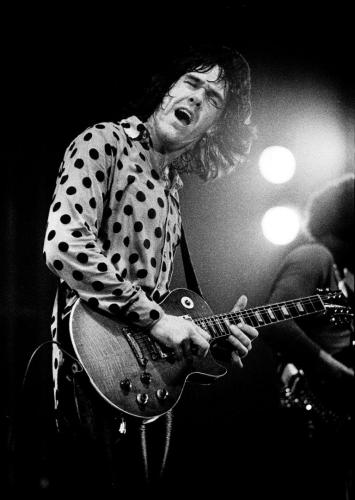 147029521_259745025556970_5231140632405117021_o