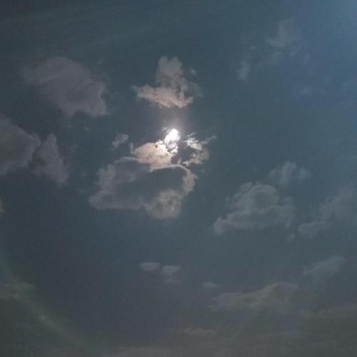 13:11:24 GMT-0600 (CST)