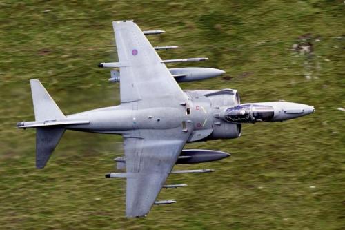 147175494_3736151423137717_4143187508696008241_o