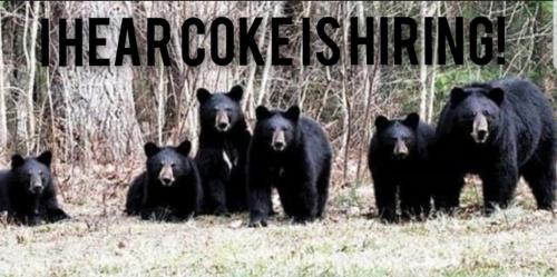 18:23:04 GMT+0800 (PST)