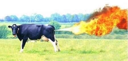 13:06:56 GMT-0600 (CST)