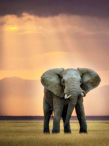 tumblr_425865cec072679e6b5cee079f546b1a_ab71b224_540