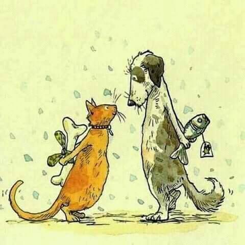 22050100_768368373369988_1756441339860697629_n