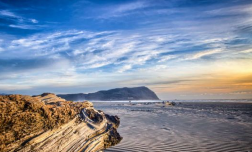 Screenshot 2021-02-28 at 7.58.27 AM