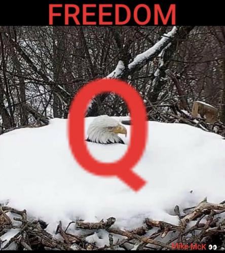 08:43:46 GMT-0800 (PST)