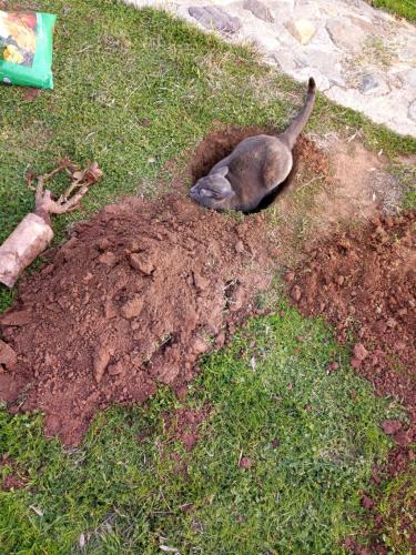 01:19:09 GMT-0800 (PST)