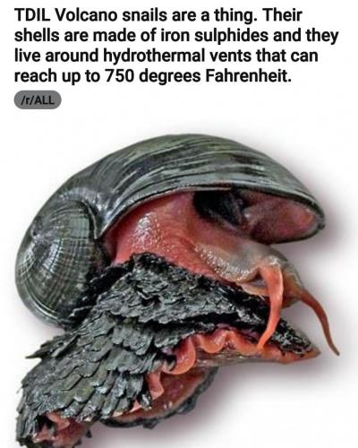 22:41:31 GMT-0500 (EST)