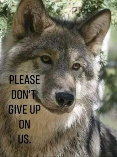 00:49:19 GMT-0600 (CST)