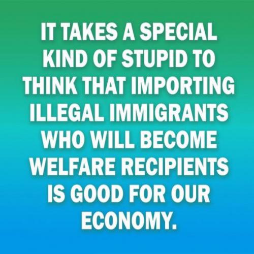 illegal immigration991