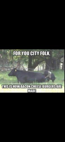 14:11:04 GMT-0700 (MST).image