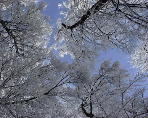 91259797_10220859260007944_7834444381435199488_o