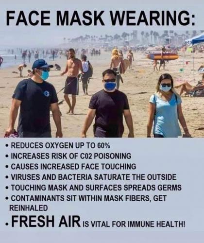 106179334_10207196404906443_1613094934891808627_n