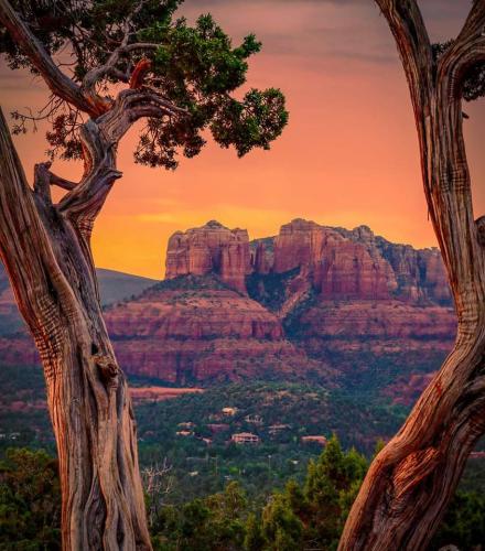 152206692_10215939457754037_5993406829573617941_n