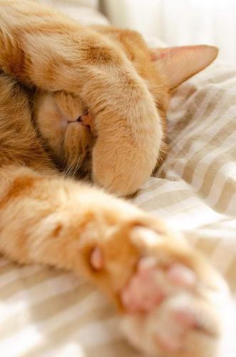 22:36:59 GMT-0600 (CST)