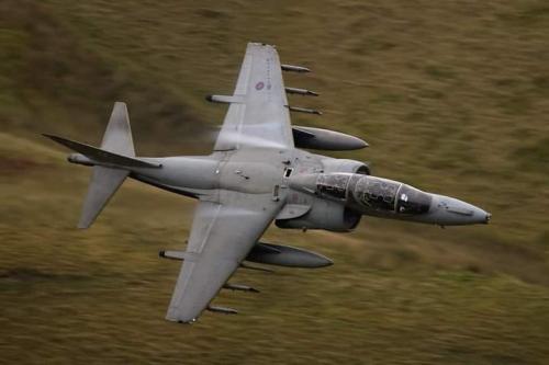 151805541_3765761020176757_938641125408996230_n