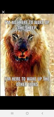 00:02:33 GMT-0500 (EST)