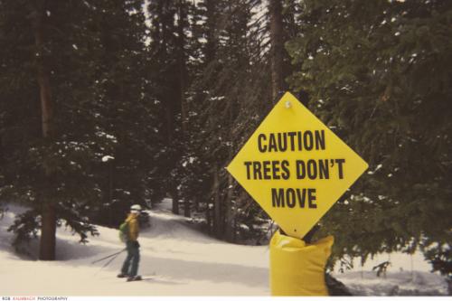 tumblr_n3tu12Tf5G1qd5g5po1_540