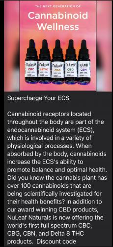 13:41:34 GMT-0600 (CST).image