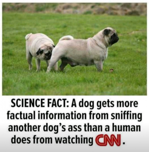 02:24:24 GMT-0600 (CST)