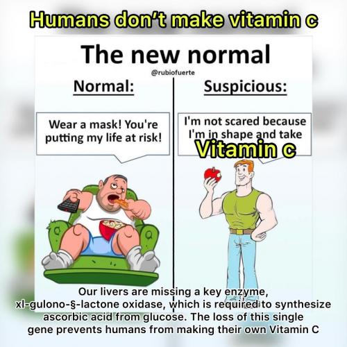 10:55:26 GMT-0600 (CST).image