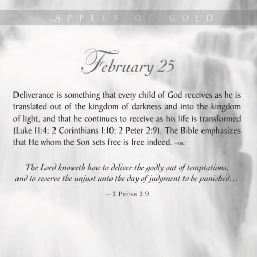 153586438_4649044165123382_7471880643724892100_o