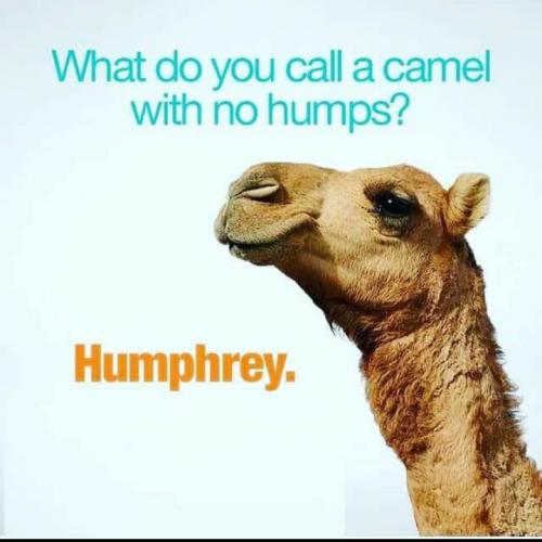 humprey