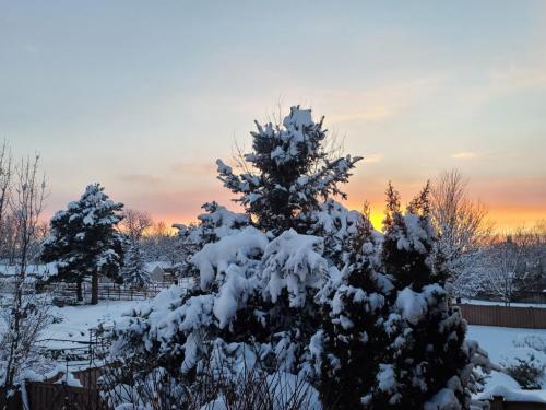 23:22:08 GMT-0700 (MST)