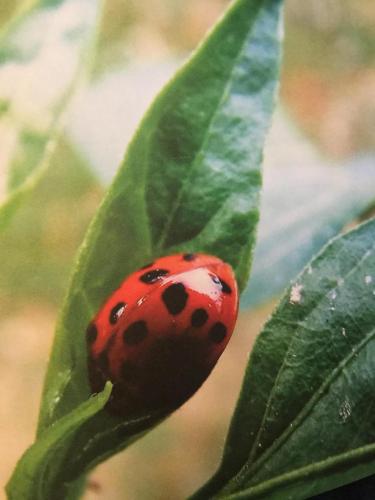 D7574594-CDEA-4896-957B-C820C77554C6