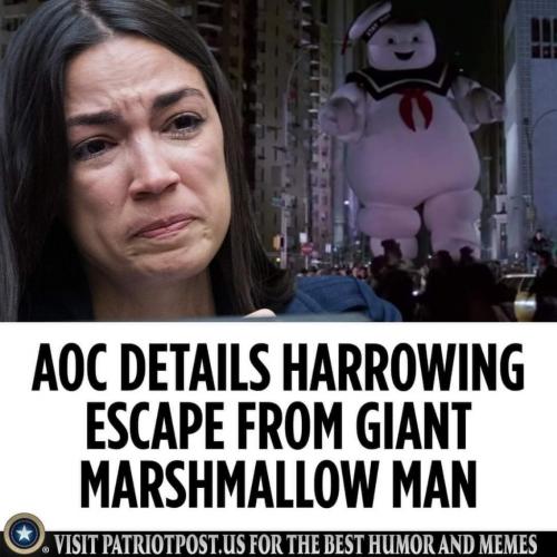 145372811_10214224885615280_7954265479332335263_o