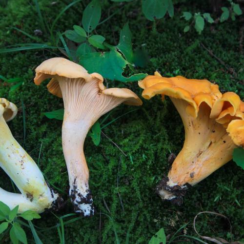 16:48:29 GMT-0600 (CST)