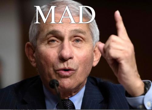 mad fauci