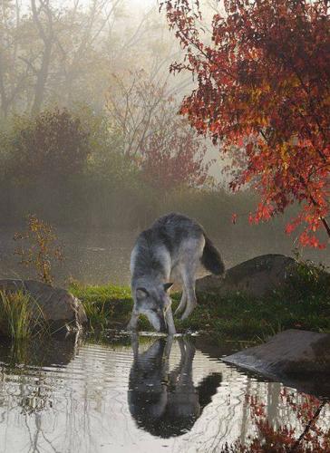 14572319_10205472604334693_5275902566407354565_n