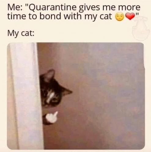 20:06:44 GMT-0800 (PST).image