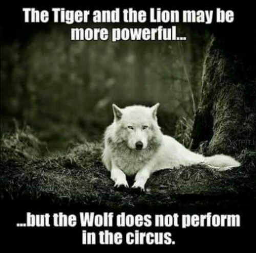 17:07:08 GMT-0500 (EST)