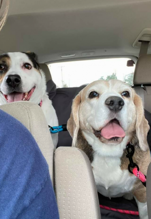 04:03:15 GMT+0100 (WAT).png