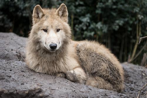 tumblr_okmlvfe6ve1r0kffao2_1280