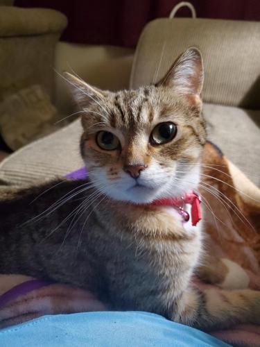 13:47:14 GMT-0500 (EST)