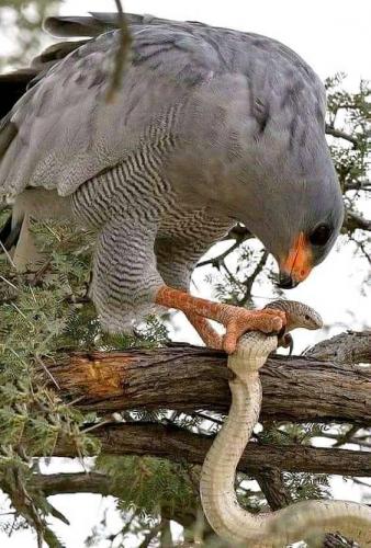 152829993_277563297126027_512878633209910258_n