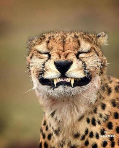 146316262_1790814541084750_2538474799277784116_o